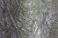 West Tytherley fibreglass roof work